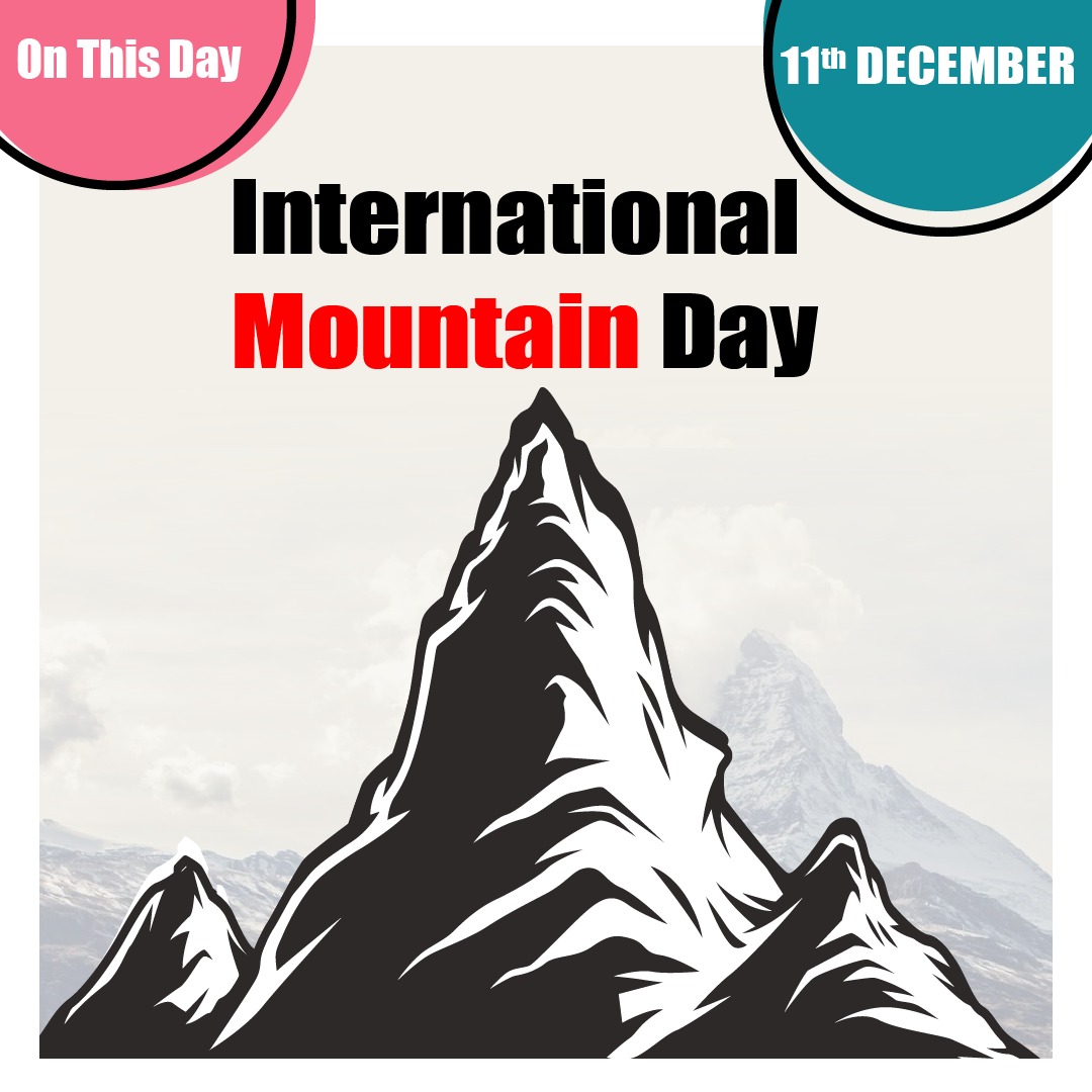 11 December International Mountain Day The Study Falcon
