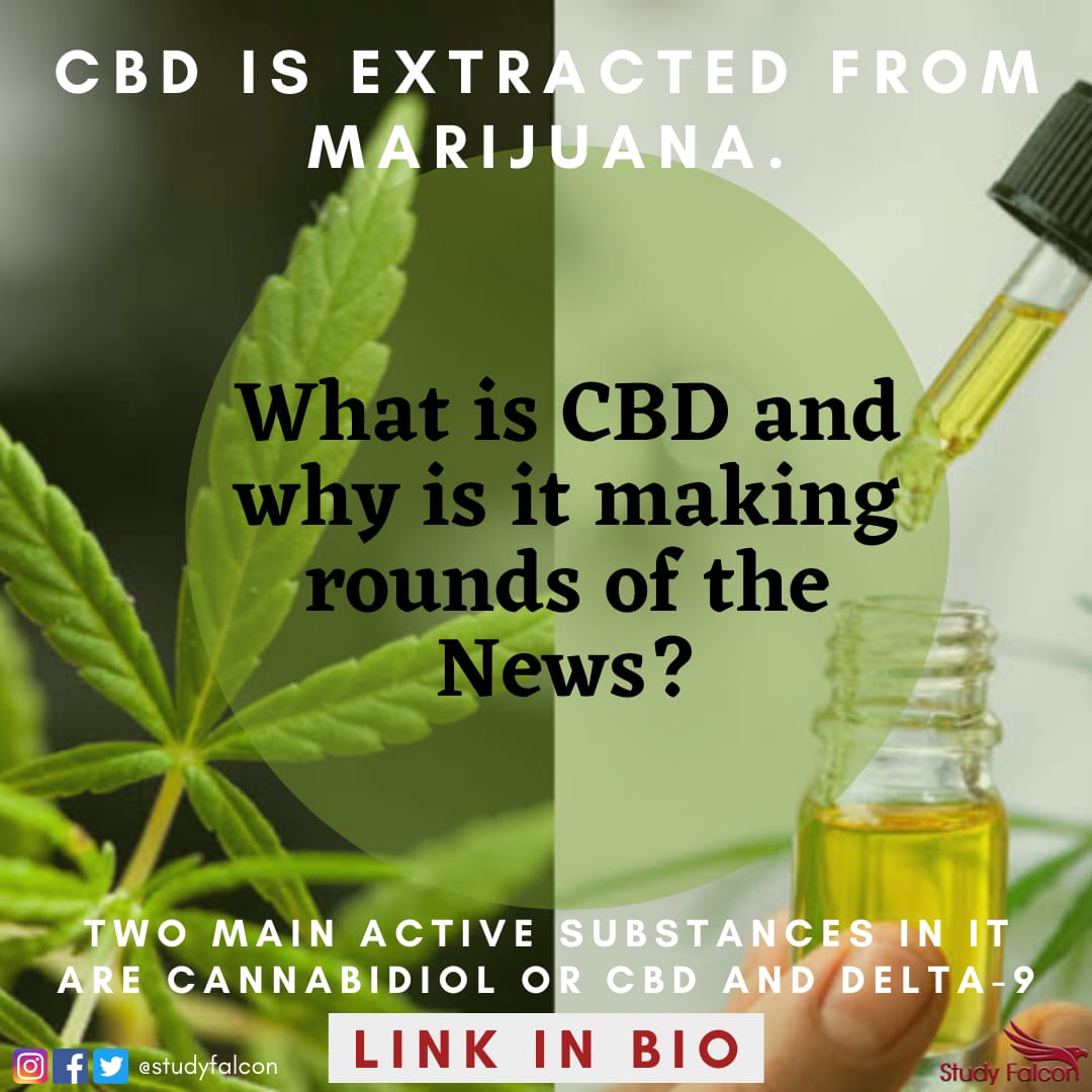 What is CBD oil ? What is its legal status in India ? - Study Falcon