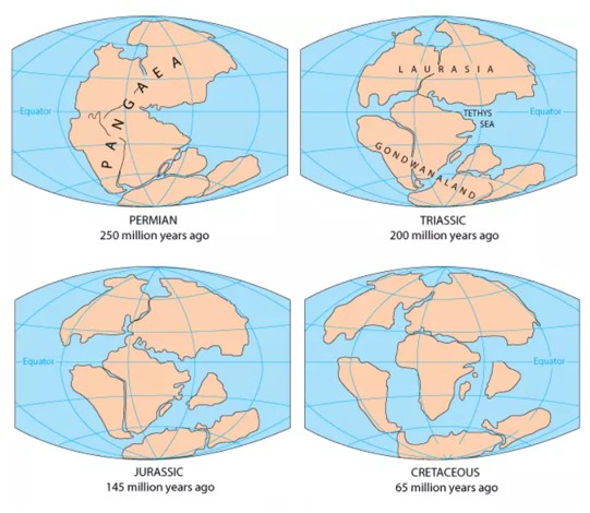 PANGAEA AND THE FORMATION AND EXISTENCE OF SUPERCONTINENTS - THE SHAPE ...